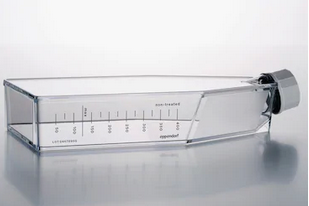 德國(guó)艾本德(Eppendorf)Cell Culture FlasksT-175,無(wú)菌無(wú)熱原,無(wú)RNase和DNase,無(wú)人類(lèi)和細(xì)菌DNA,無(wú)細(xì)胞毒素,帶密封蓋,未處理,30.0mL