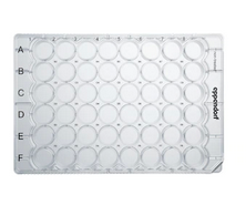 德國艾本德(Eppendorf)Cell Culture Plates,48-Well,無菌無熱原,無RNase和DNase,無人類和細(xì)菌DNA,無細(xì)胞毒素,未處理,0.5mL,60塊,獨(dú)立包裝